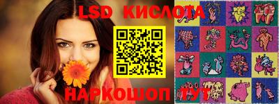 скорость Бердск