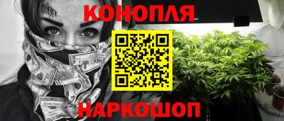 скорость Бердск